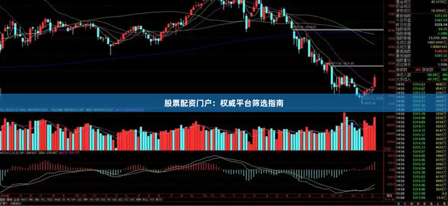 股票配资门户：权威平台筛选指南